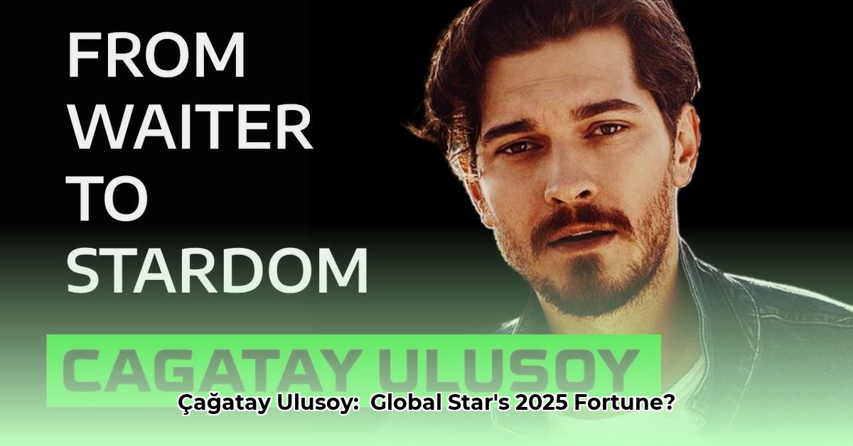 cagatay-ulusoy-net-worth